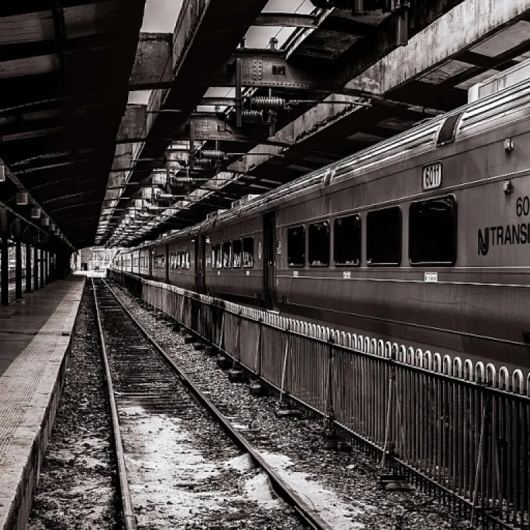 L'importance des professionnels du transport dans l'économie moderne